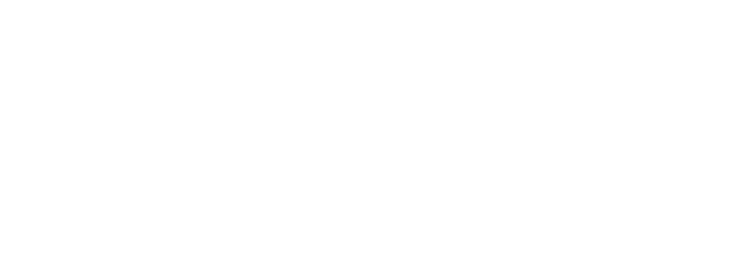 Leather Restore PRO logo