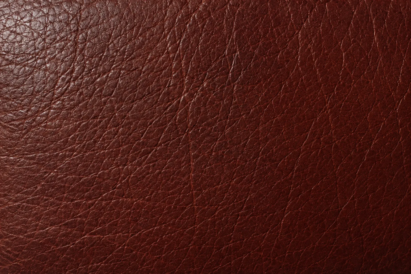 Aniline leather swatch