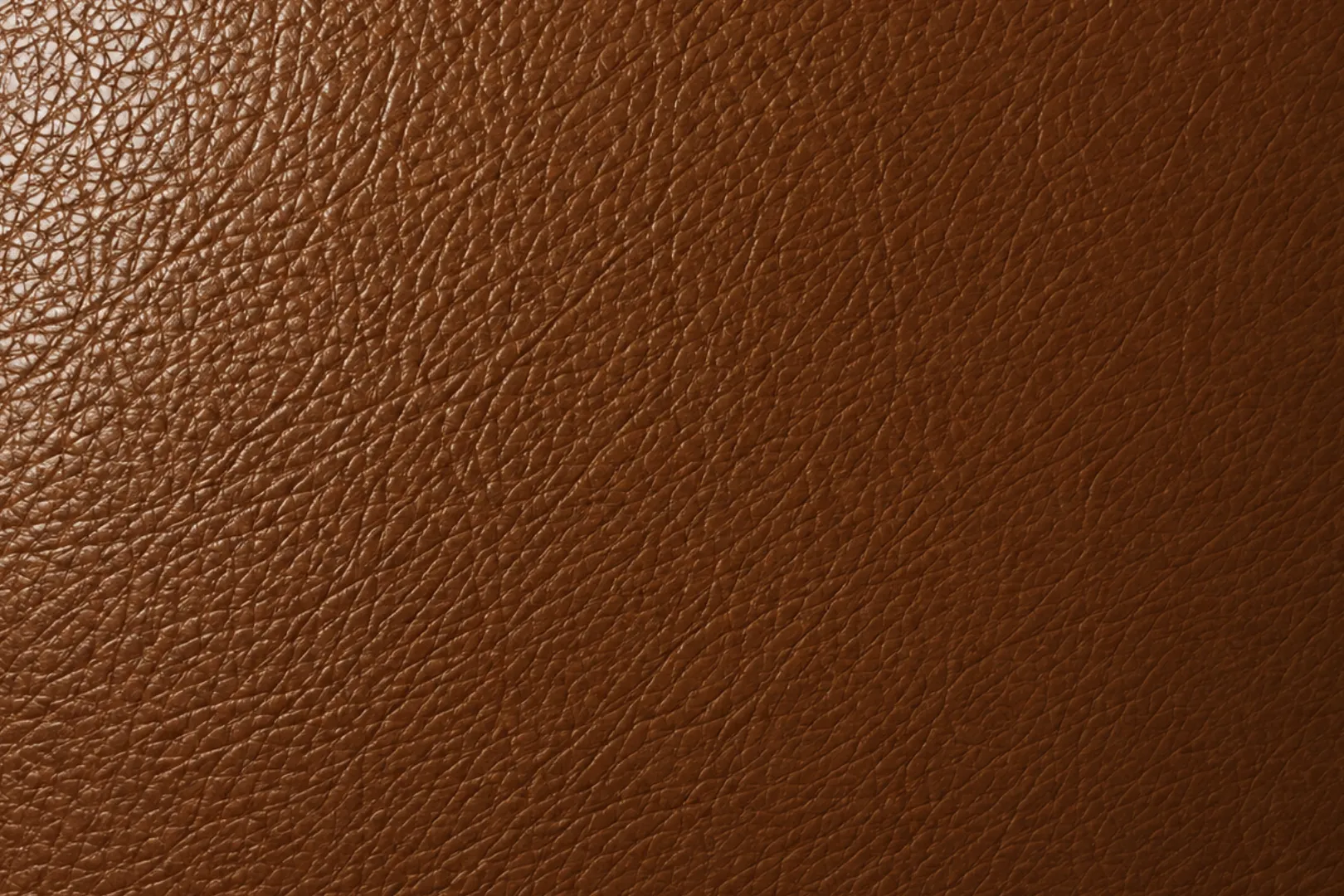 Bonded leather swatch