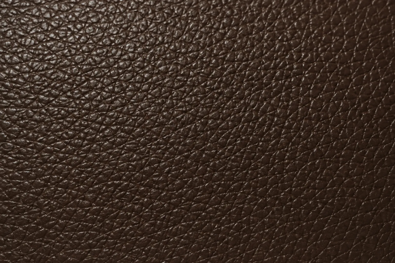 Corrected-grain leather swatch