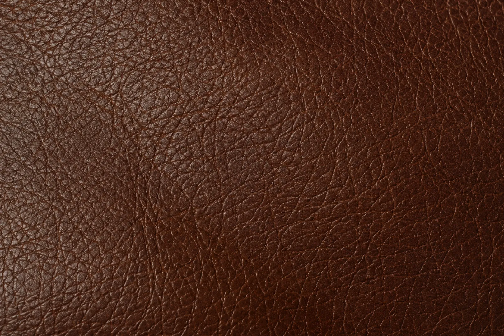 Full-grain leather swatch