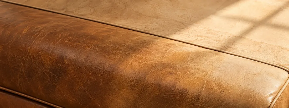 Cognac bar seating with a pale sun-bleached band where afternoon light falls