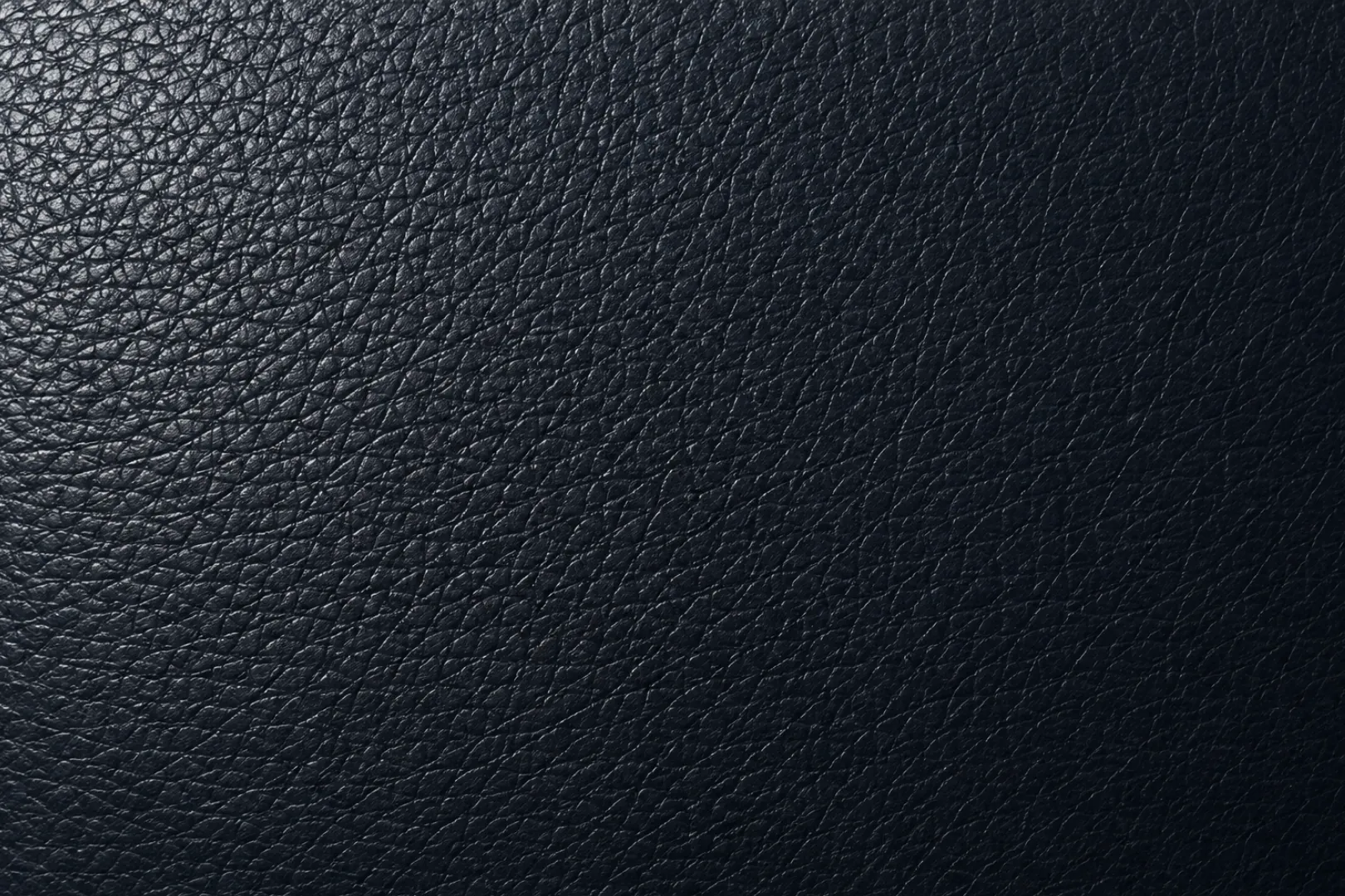 Pigmented leather swatch