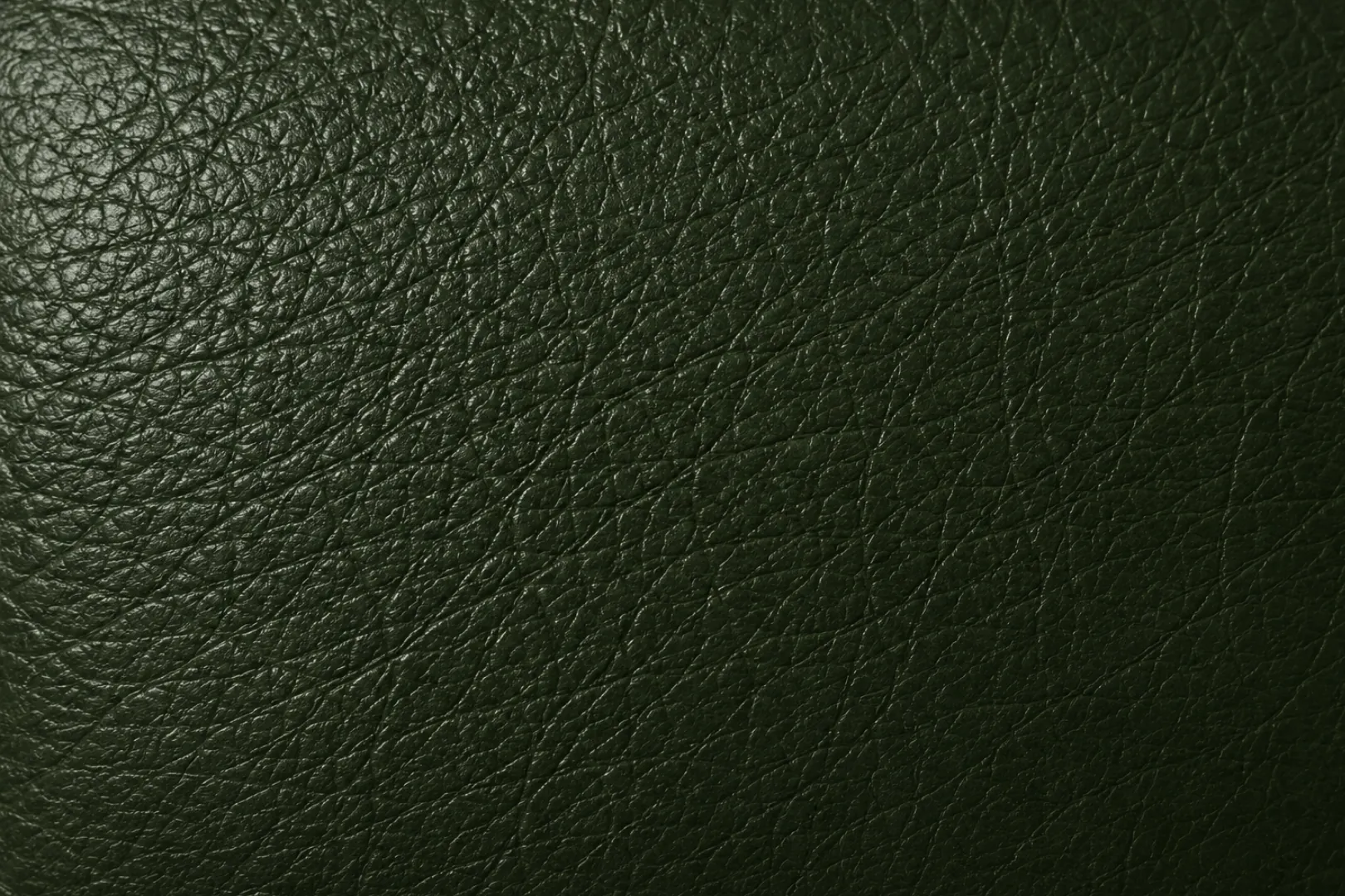 Semi-aniline leather swatch