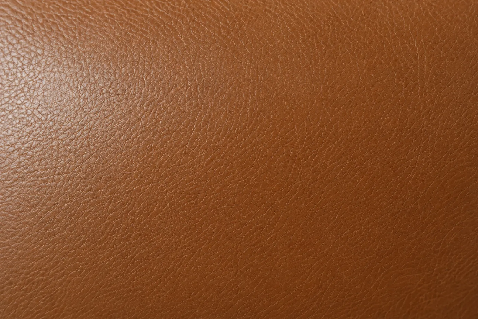 Top-grain leather swatch