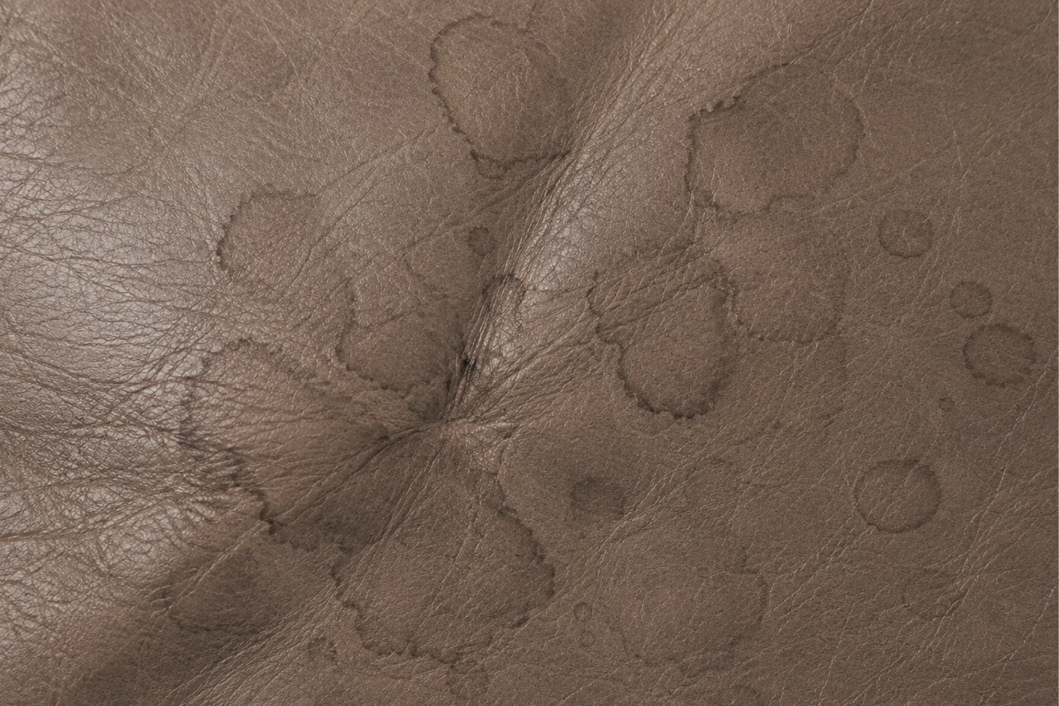 Taupe semi-aniline leather with dark-edged tide rings radiating out from a single point