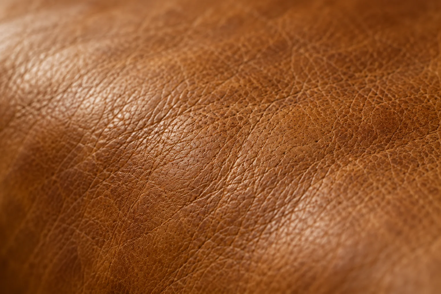 Aniline leather surface up close