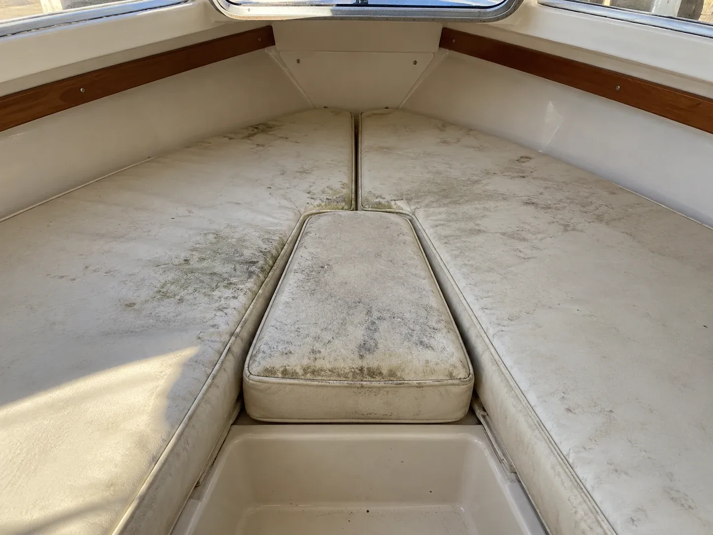 Mildewed cushions in a boat v-berth