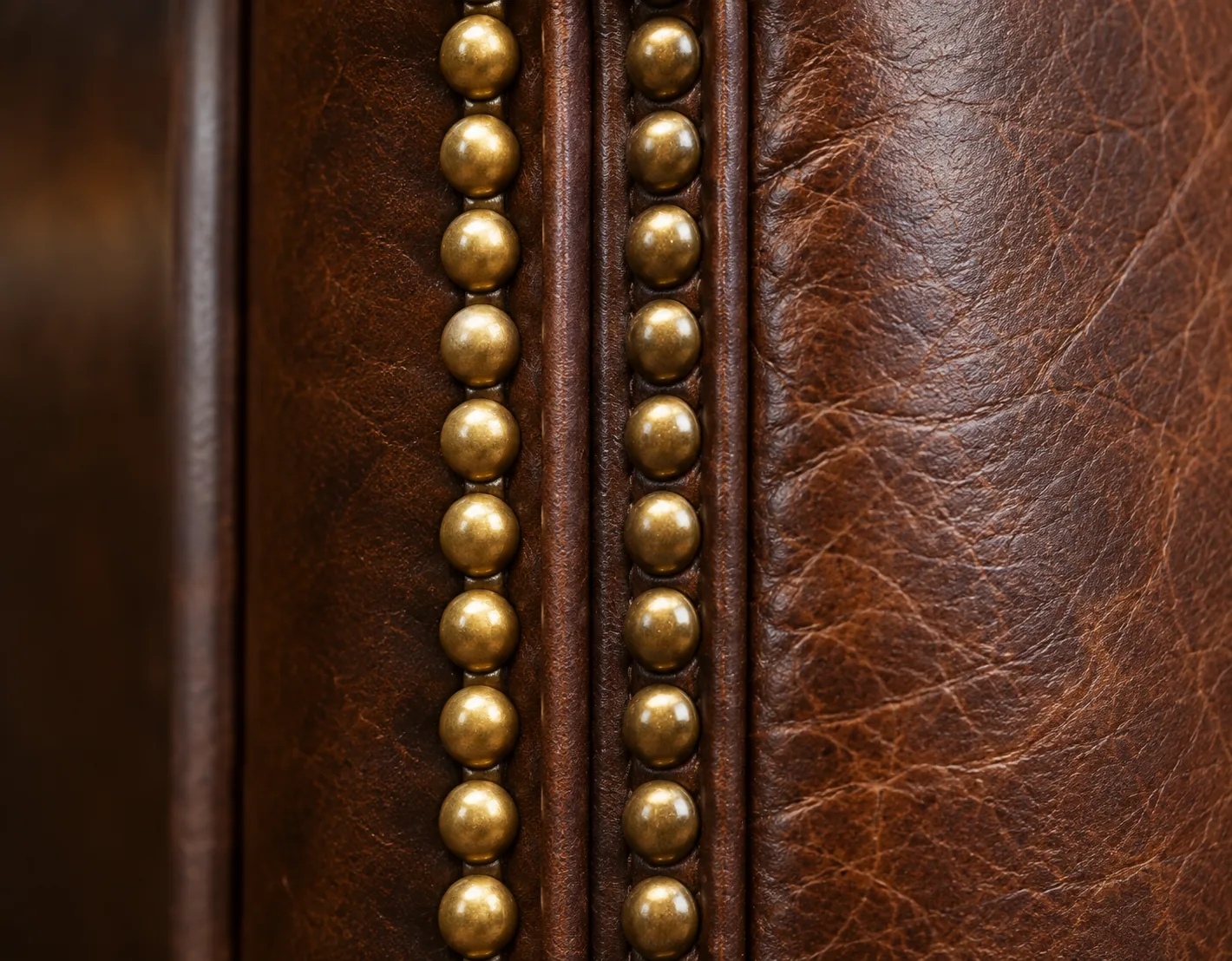Row of brass nailheads on antique leather
