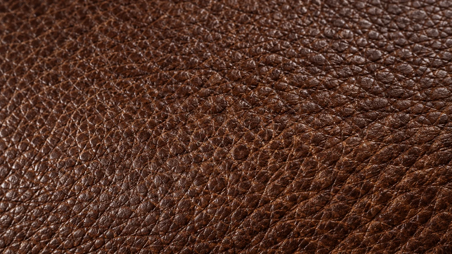 Mid-brown hide with an open pebbled grain