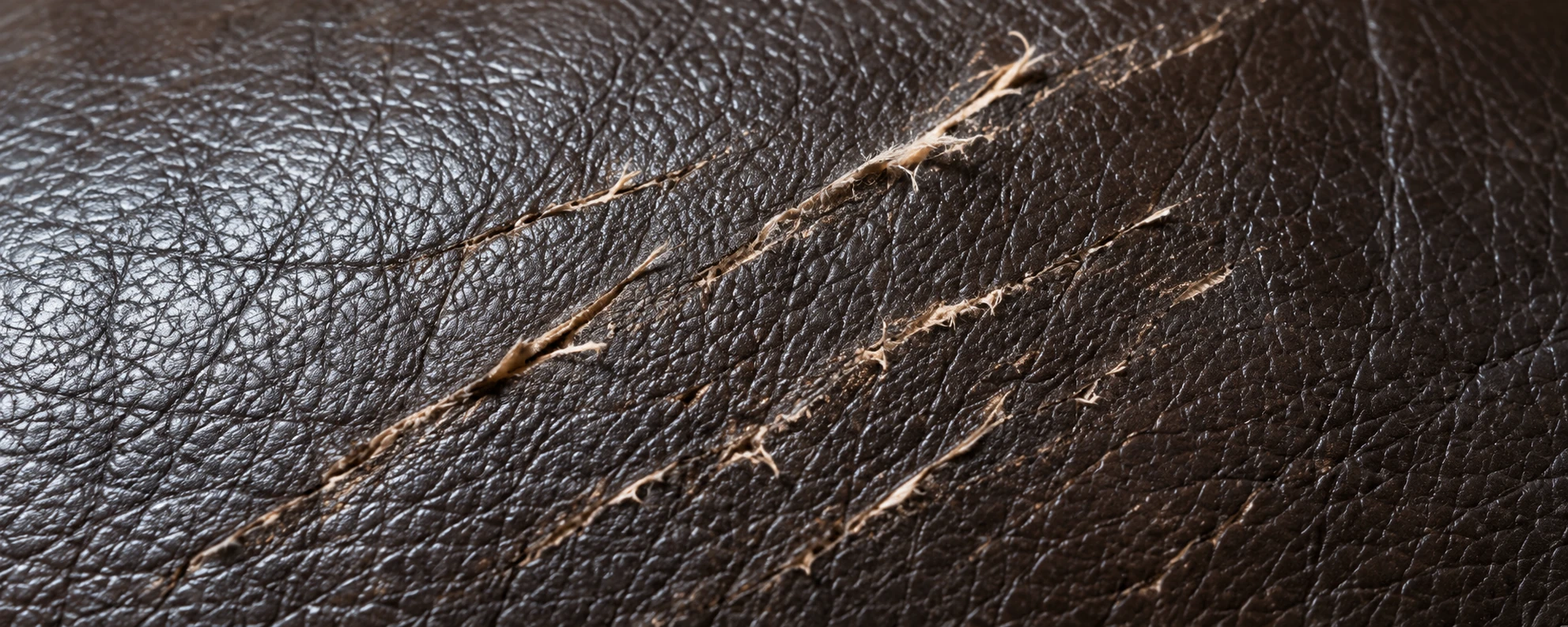 Raised fibers from claw marks on brown leather