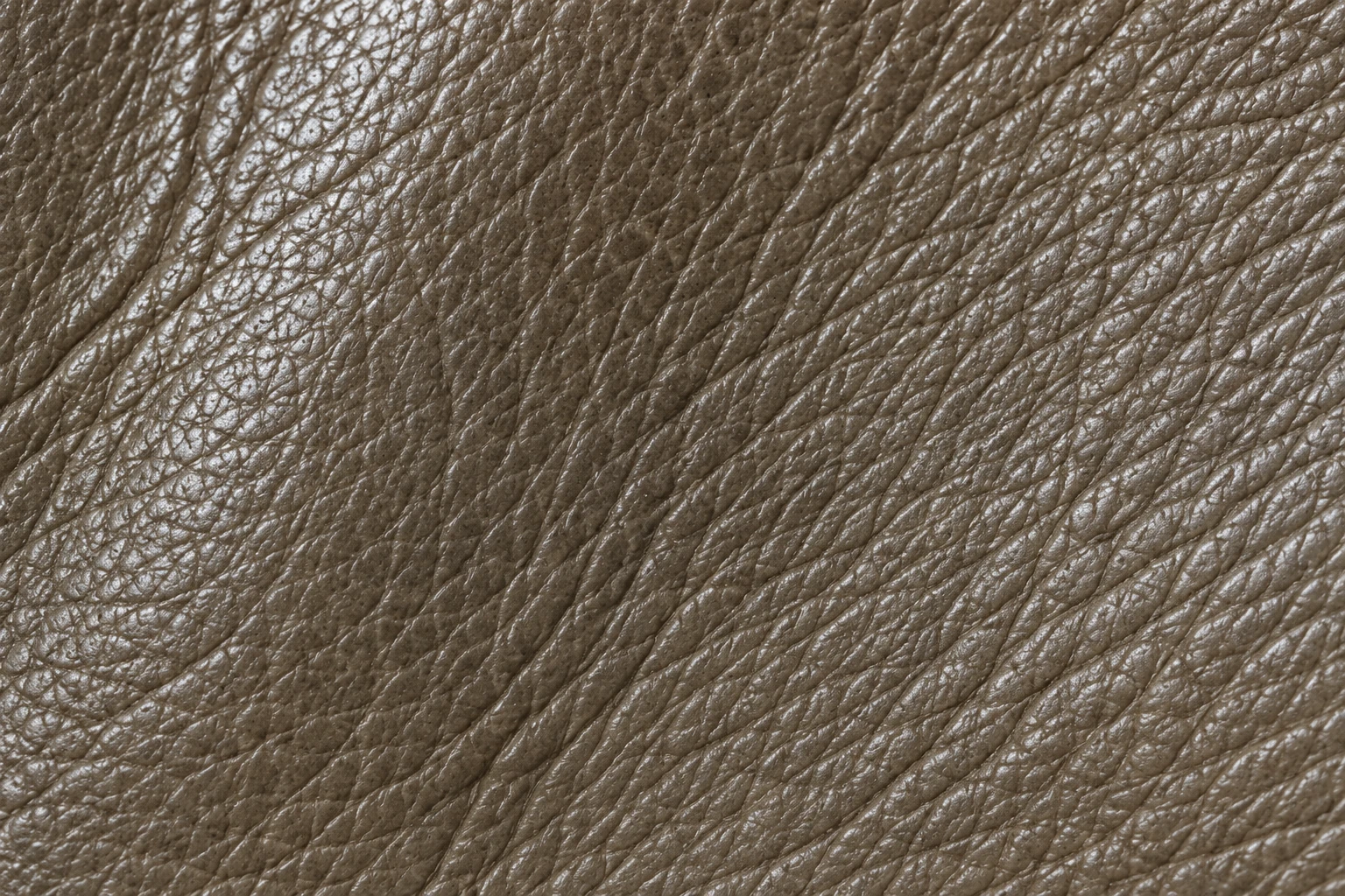 Repaired area with the leather grain restored
