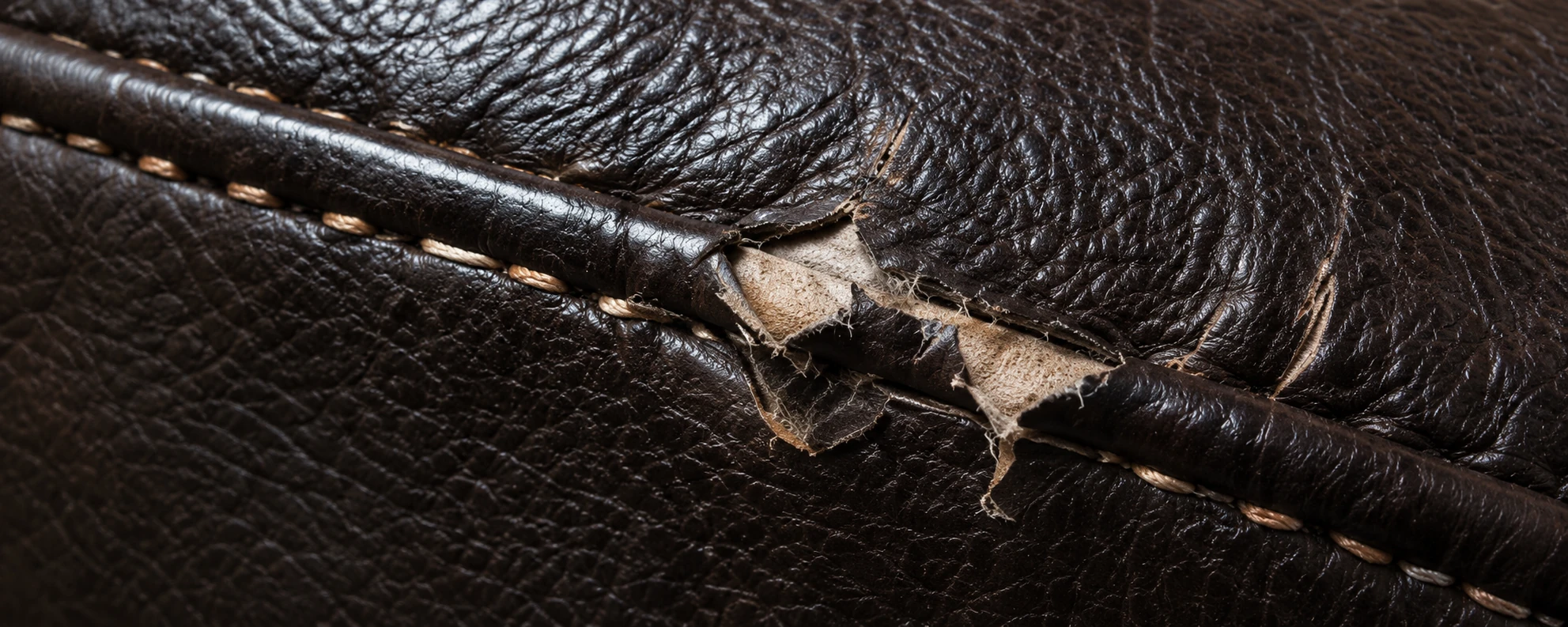 Leather torn at a seam by claws
