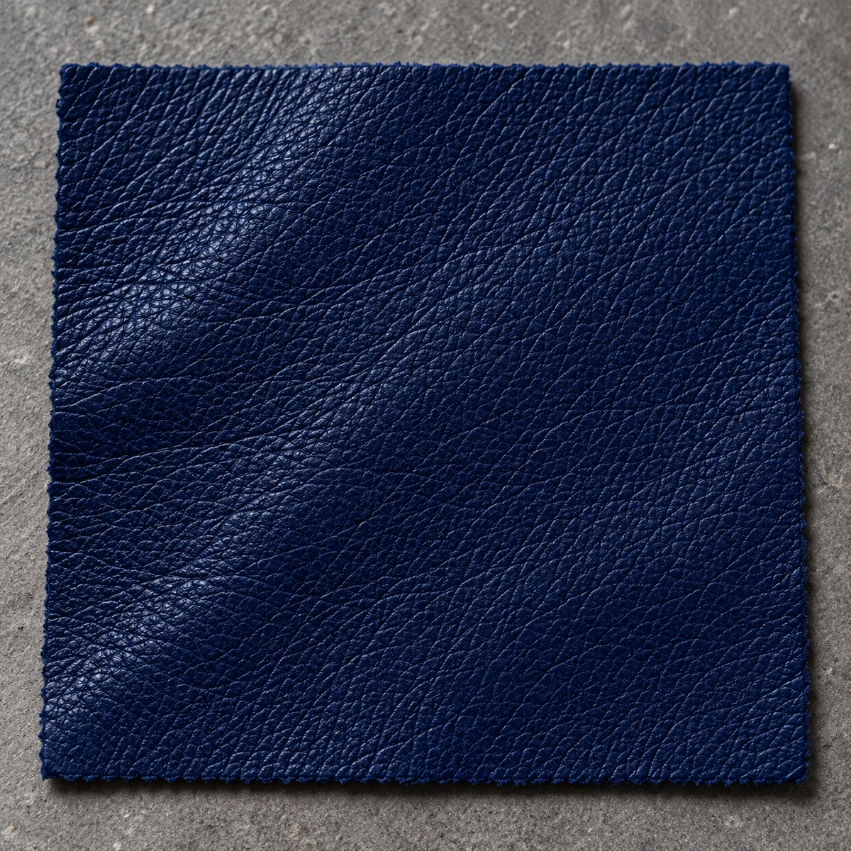 Close view of coach-grade leather