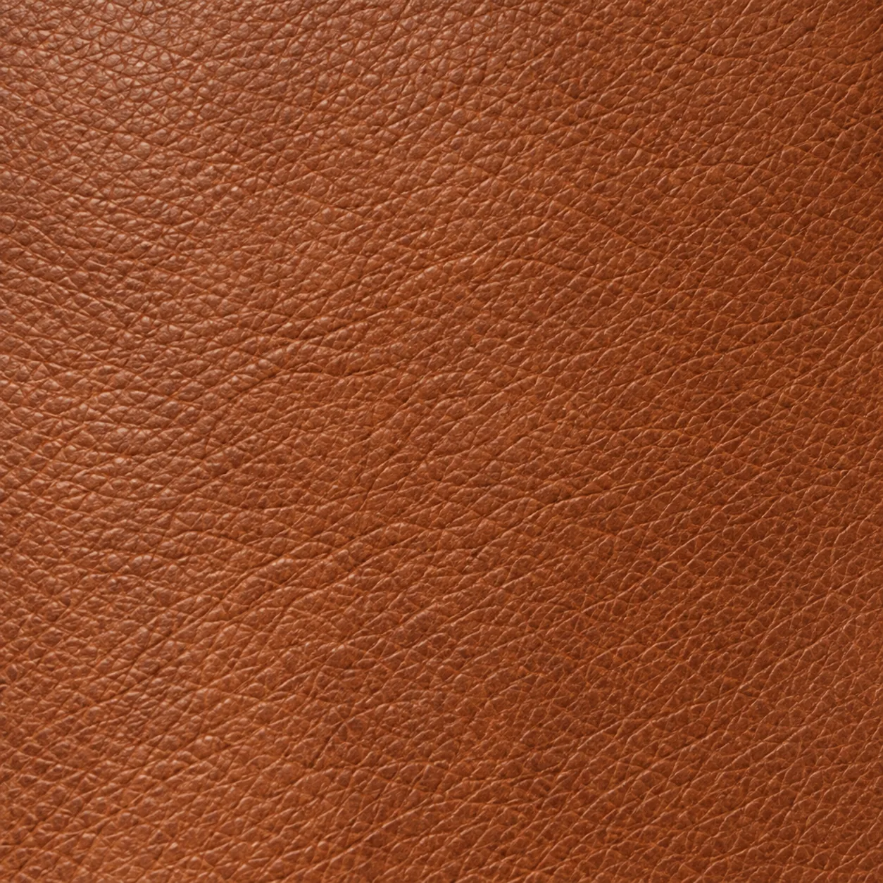 Cognac leather swatch
