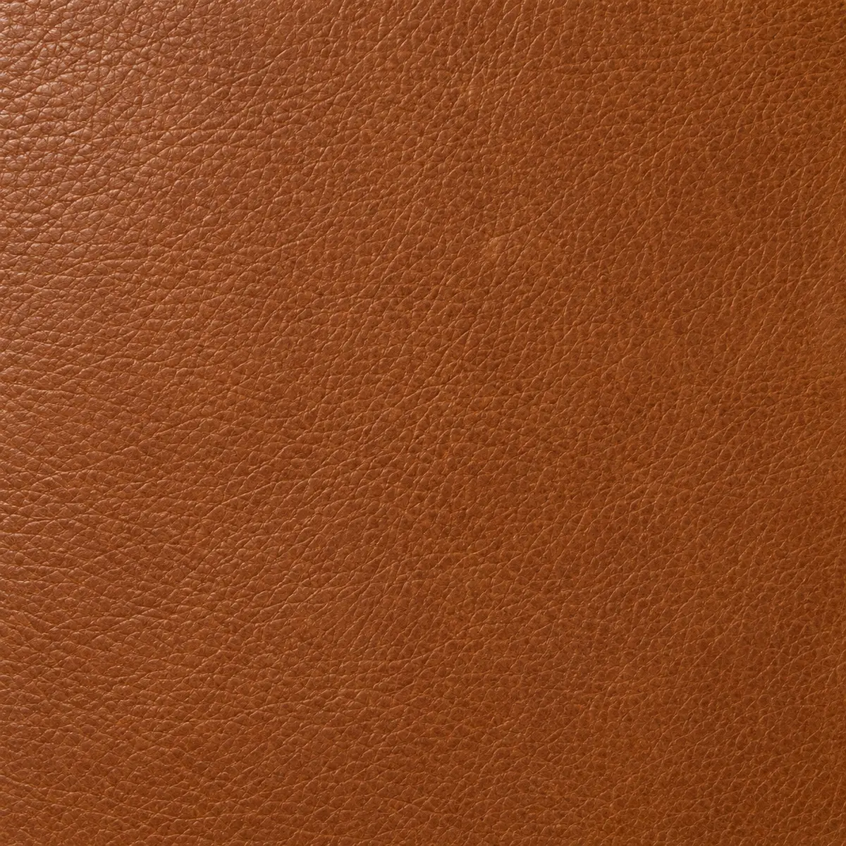 Close view of cognac commercial leather grain