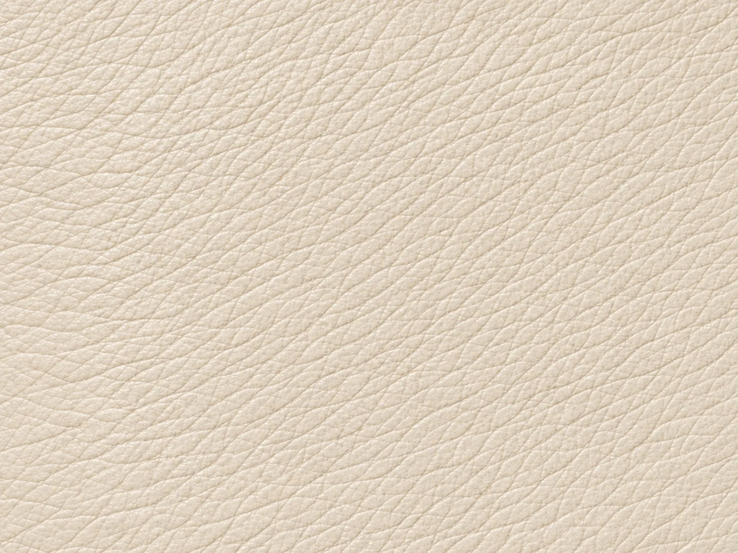 Cream leather swatch