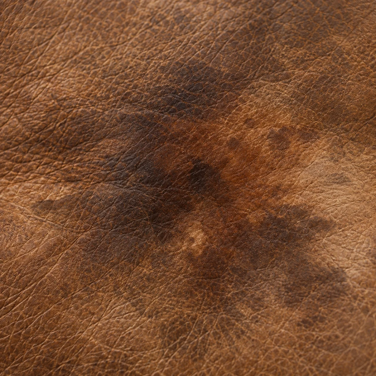 Dark patch absorbed into aniline leather