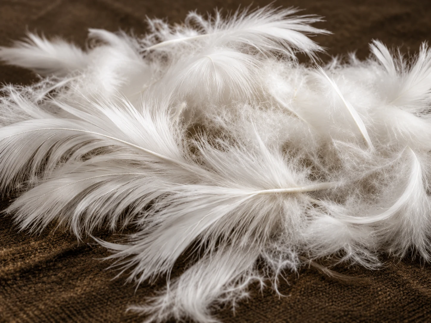 Feather and down fill for a soft seat cushion