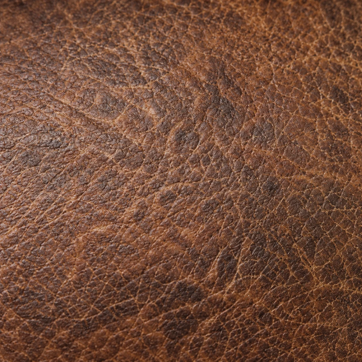 Close view of healthy brown leather grain