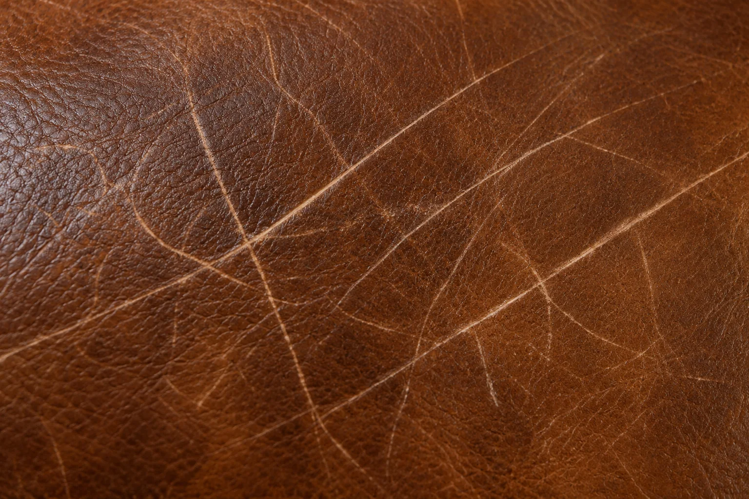 Close view of brown leather grain and color