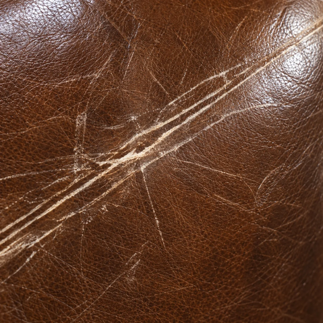 New cover — leather furniture repair company Miami
