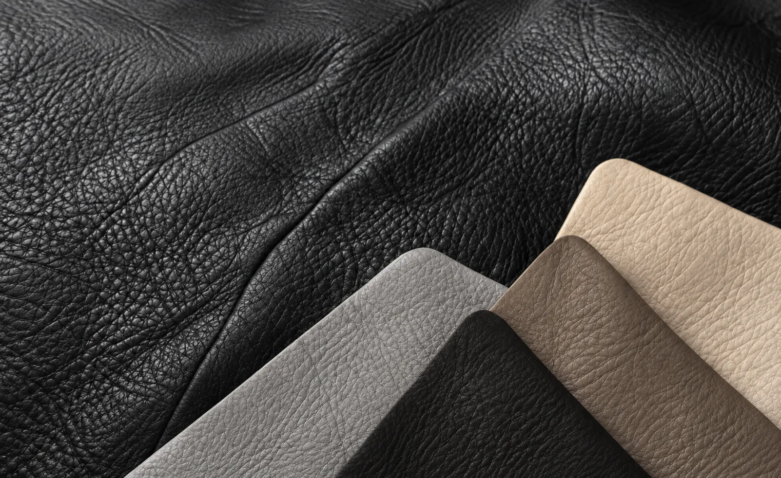 Colour swatches laid on a black leather sofa