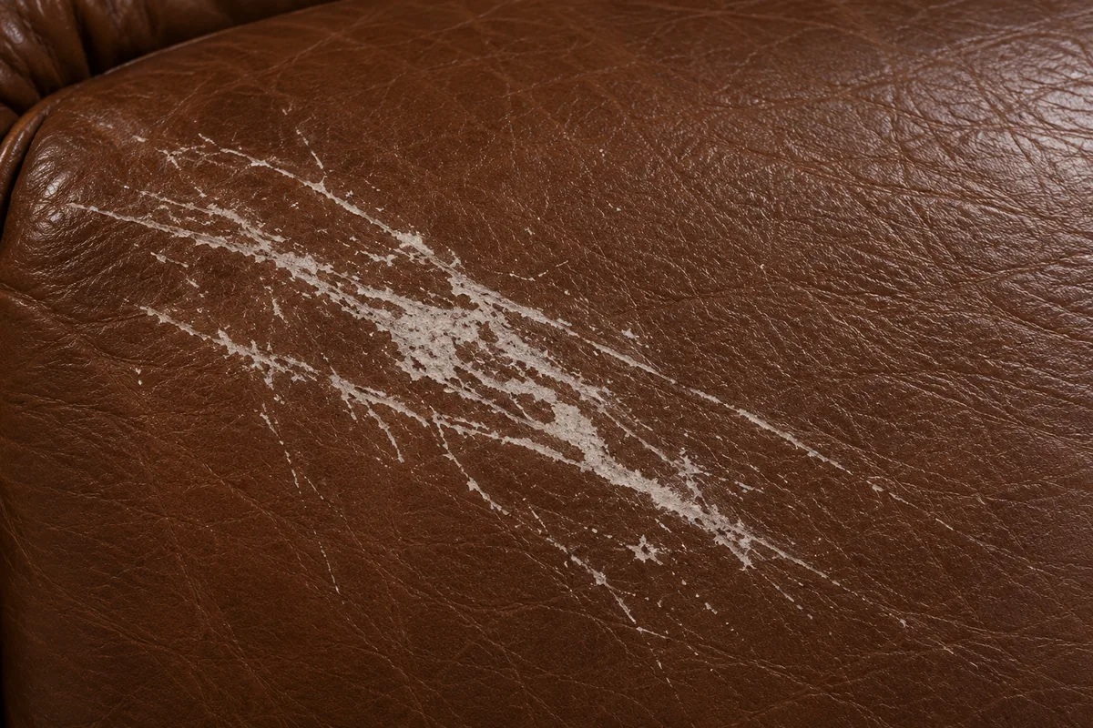 New foam — leather work in Miami