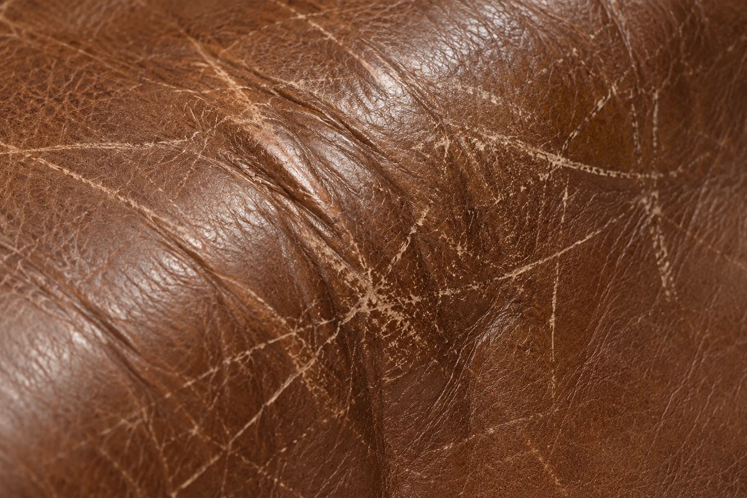 What the cover is — leather furniture repair company Miami