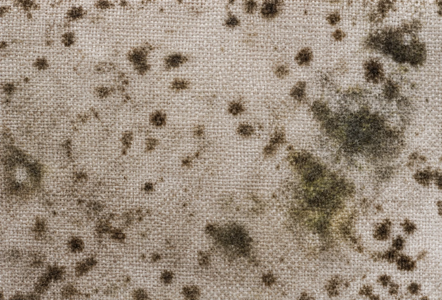 Mildew spotting on upholstery fabric