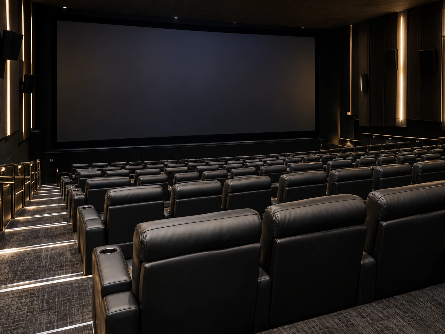 A multiplex auditorium of recovered recliners