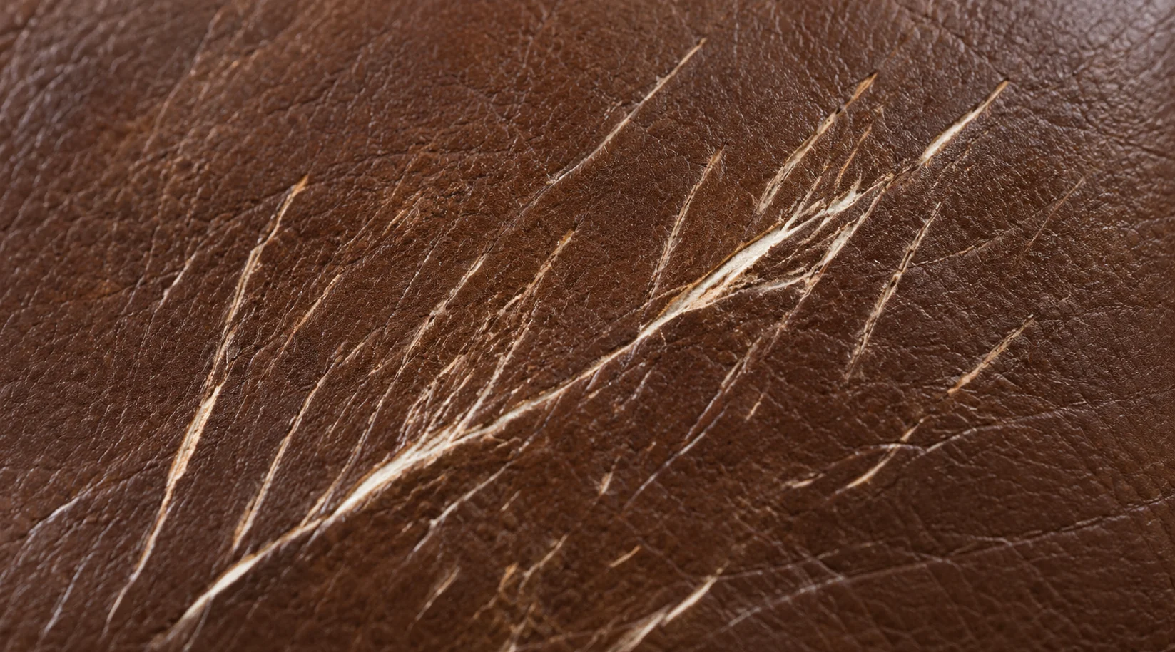 Several long pale claw scratches raked across brown bed leather