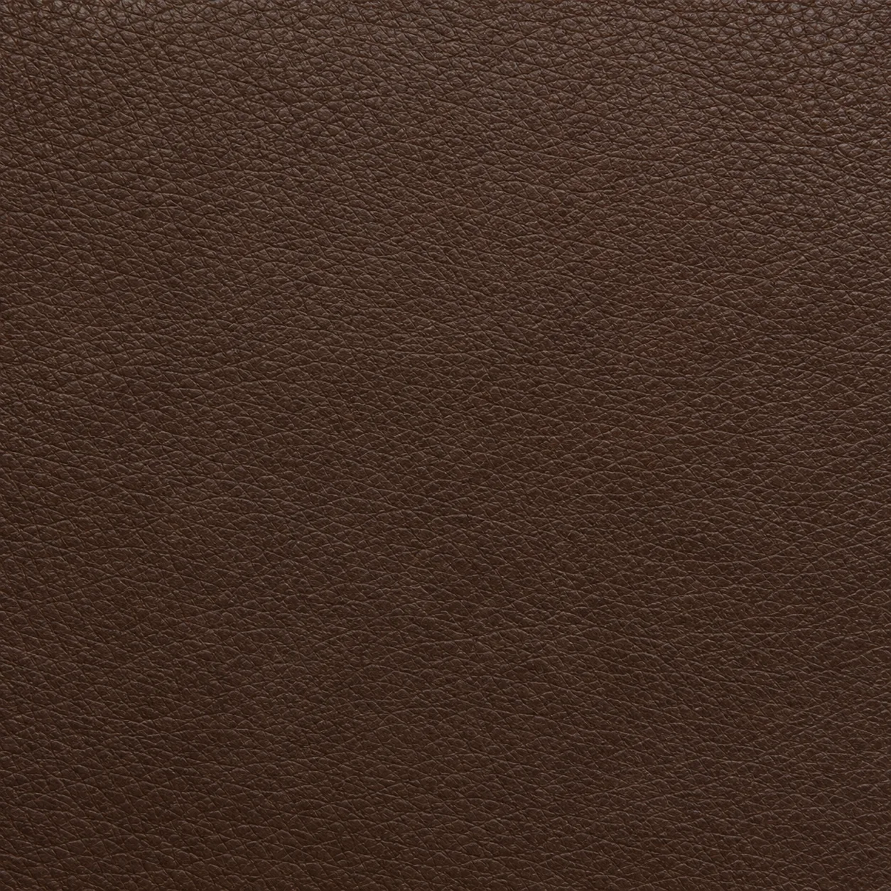 Close view of even pigmented leather