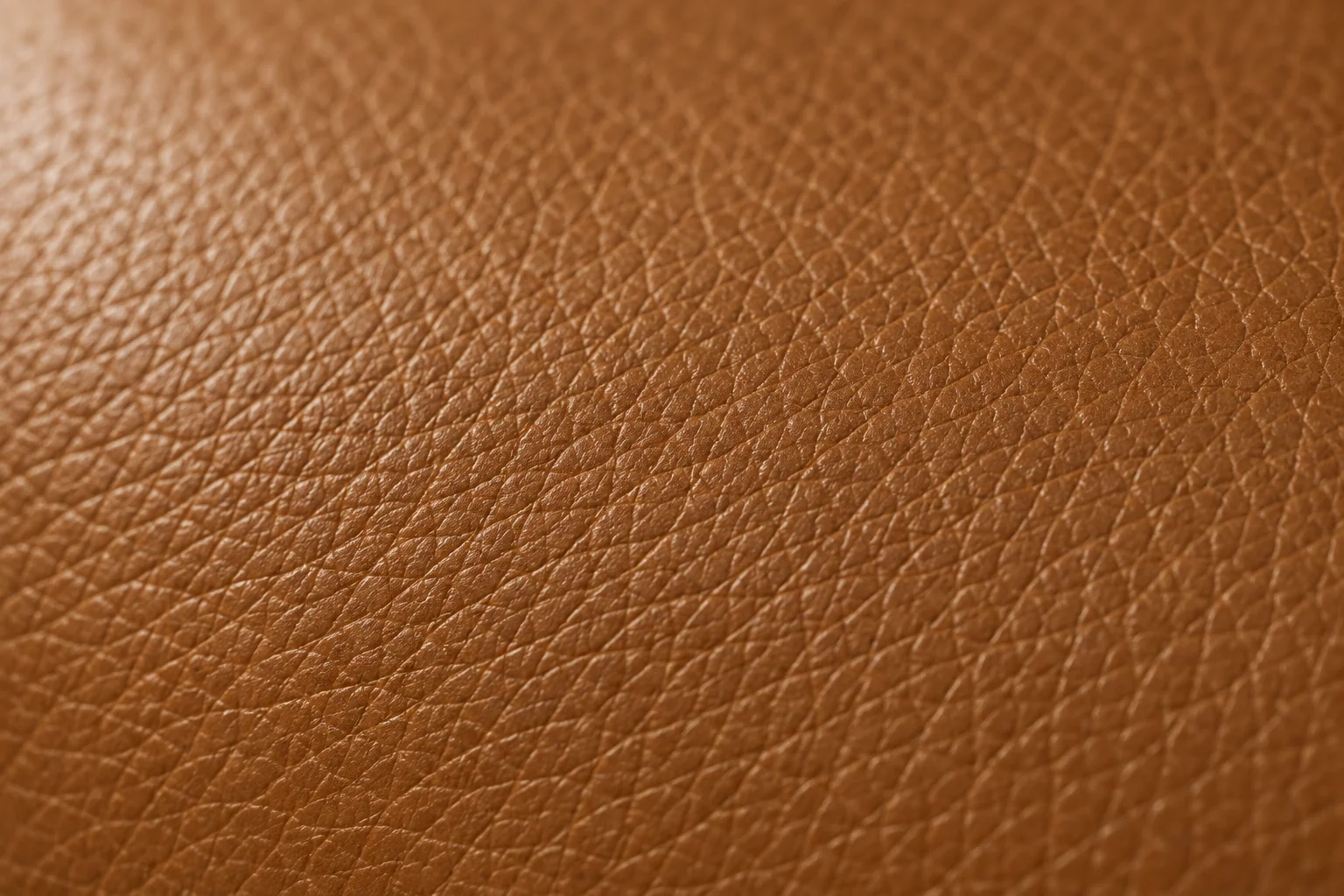 Close grain of pigmented cognac leather