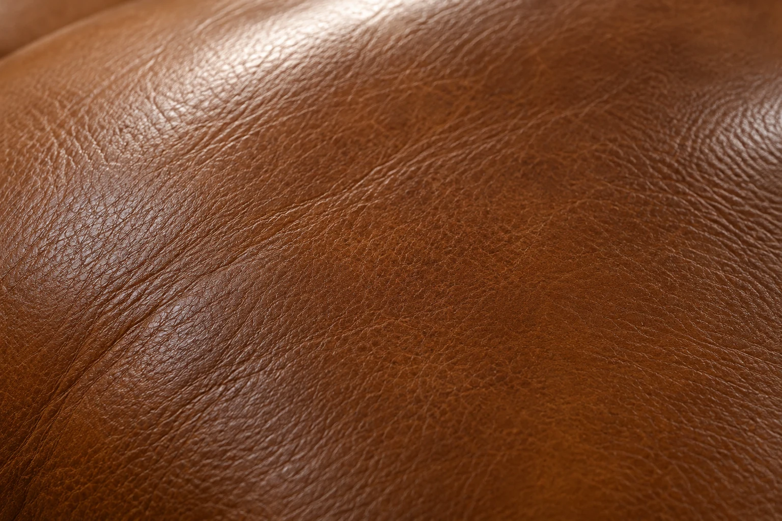 Recolored leather sealed to an even sheen
