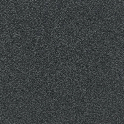 Charcoal leather swatch