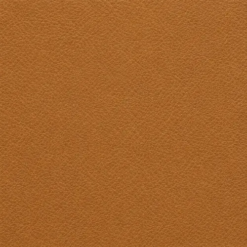 Cognac leather swatch