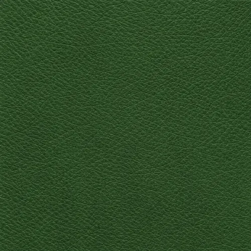 Forest green upholstery swatch