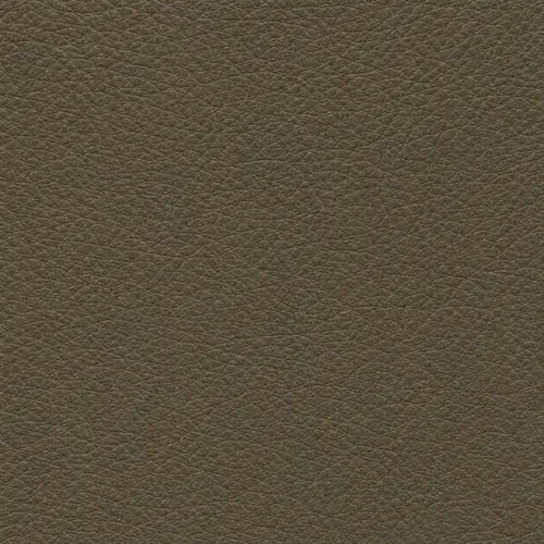 Olive leather swatch