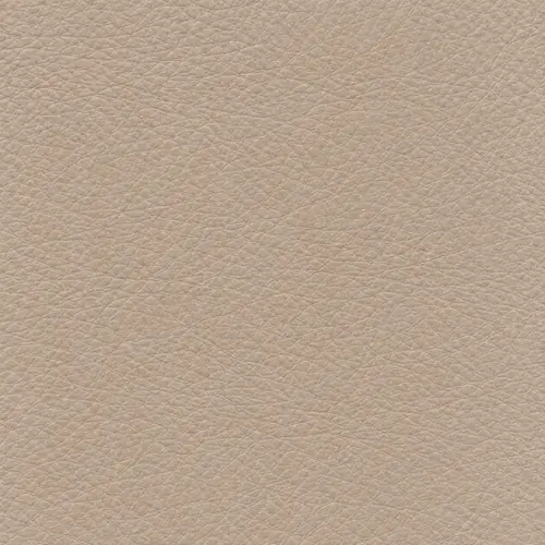 Taupe leather swatch