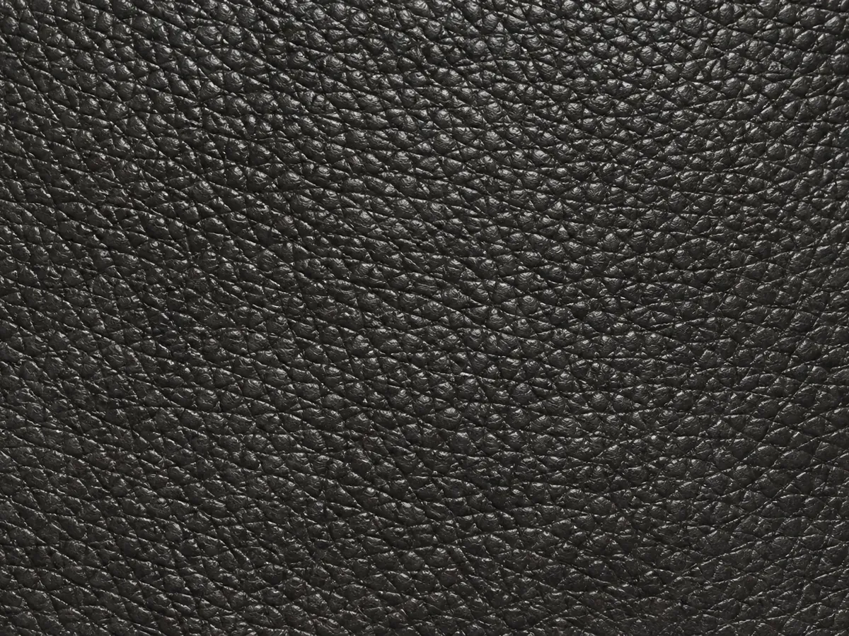 Pebbled leather sample